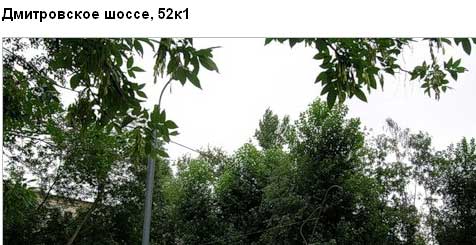  ,  52, . 1.  .  .