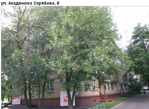 Район Рязанский (ЮВАО), Академика Скрябина ул., д. 8