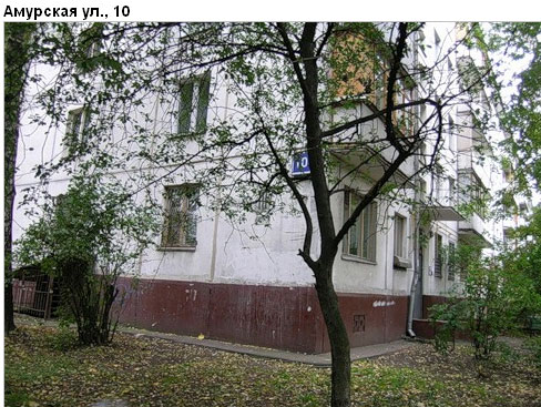Район Гольяново (ВАО), Амурская ул., д. 10