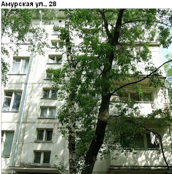 Район Гольяново (ВАО), Амурская ул., д. 28