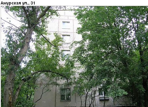 Район Гольяново (ВАО), Амурская ул., д. 31