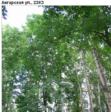 Район Дегунино Западное (САО), Ангарская ул., д. 23, корп. 3
