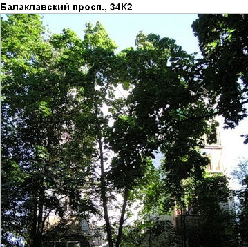 Район Зюзино (ЮЗАО), Балаклавский пр-т, д. 34, корп. 2