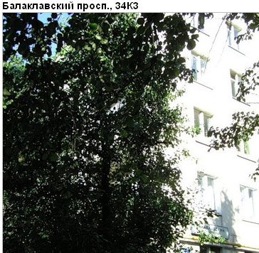 Район Зюзино (ЮЗАО), Балаклавский пр-т, д. 34, корп. 3