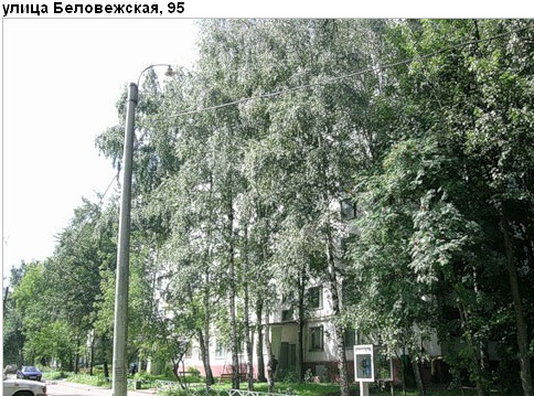 Район Можайский (ЗАО), Беловежская ул., д. 95