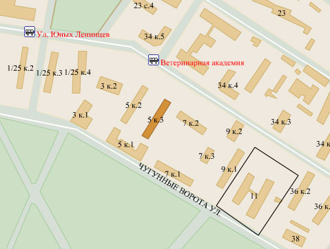 Район Выхино-Жулебино (ЮВАО), Чугунные ворота ул., д. 5, к. 3